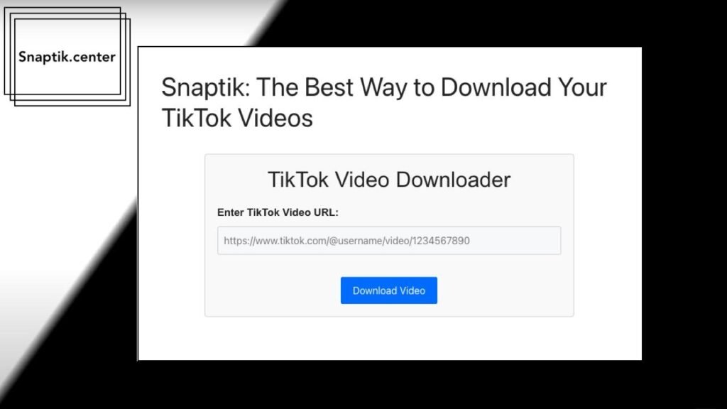 Top TikTok Downloaders for Fast Video Saving
