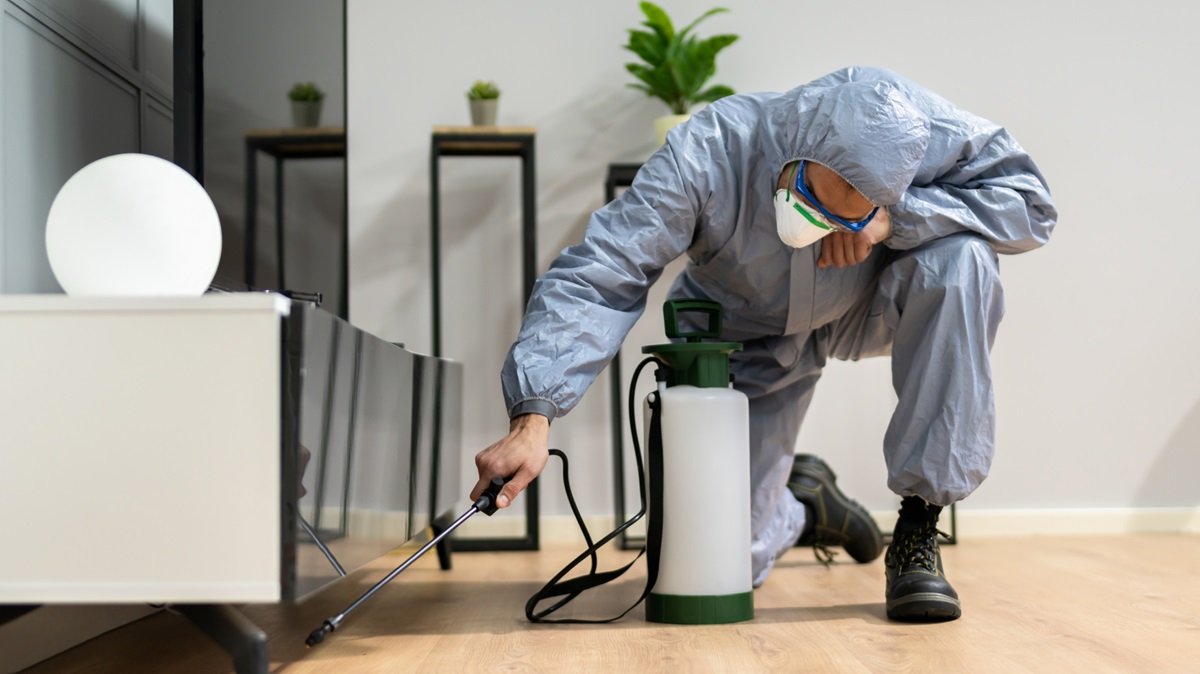 a professional is detecting odor source under the furniture