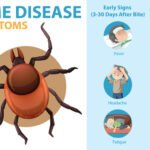 lyme disease relief with biomagnetism