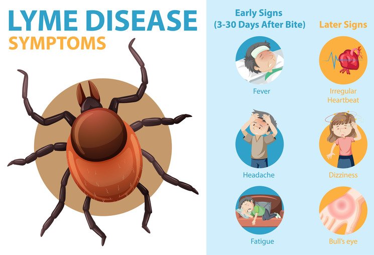 lyme disease relief with biomagnetism