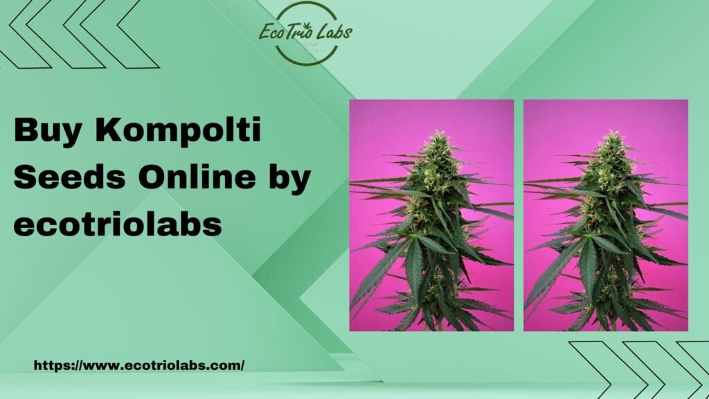 Kompolti seeds online