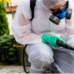 Trusted Pest Control Services in Lahore