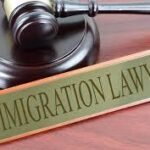 immigration lawyer