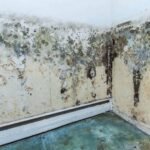 Mold damage repair