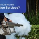 Why Should You Hire Fumigation Services?