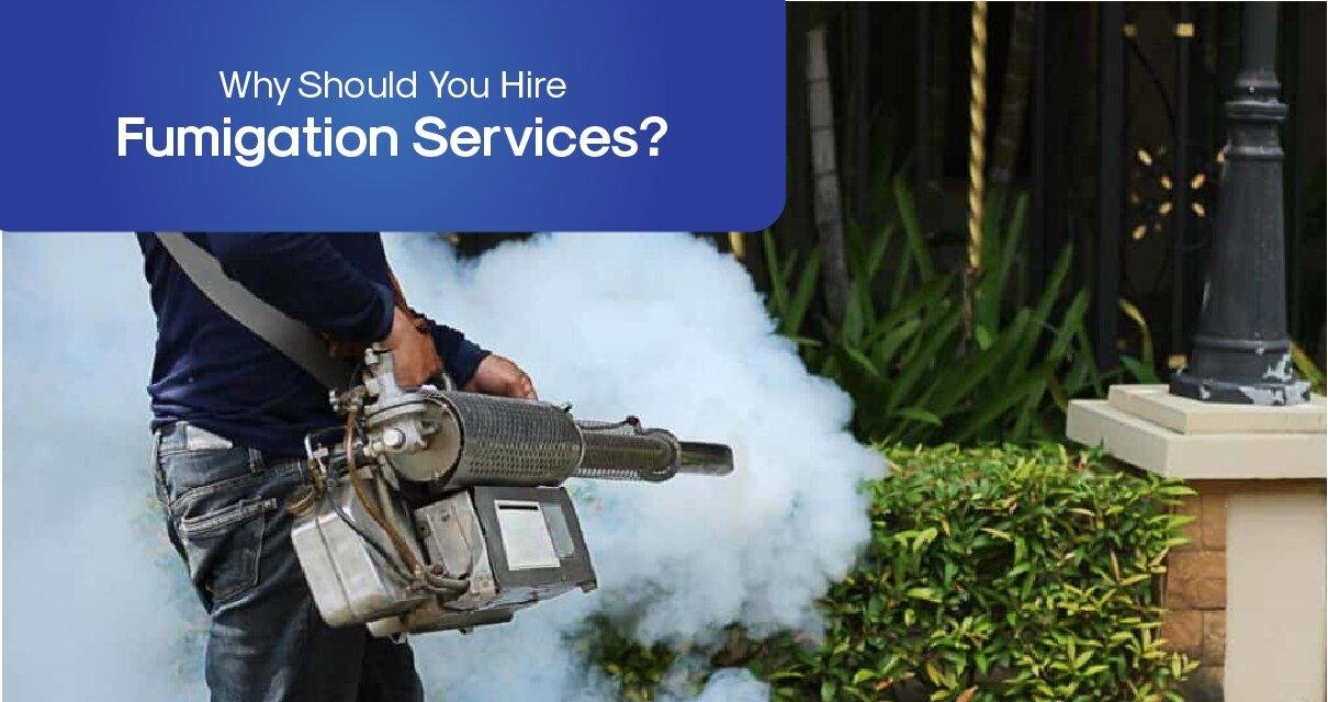 Why Should You Hire Fumigation Services?