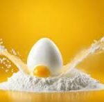 Egg Powder Market Size Forecast Report 2024-2030