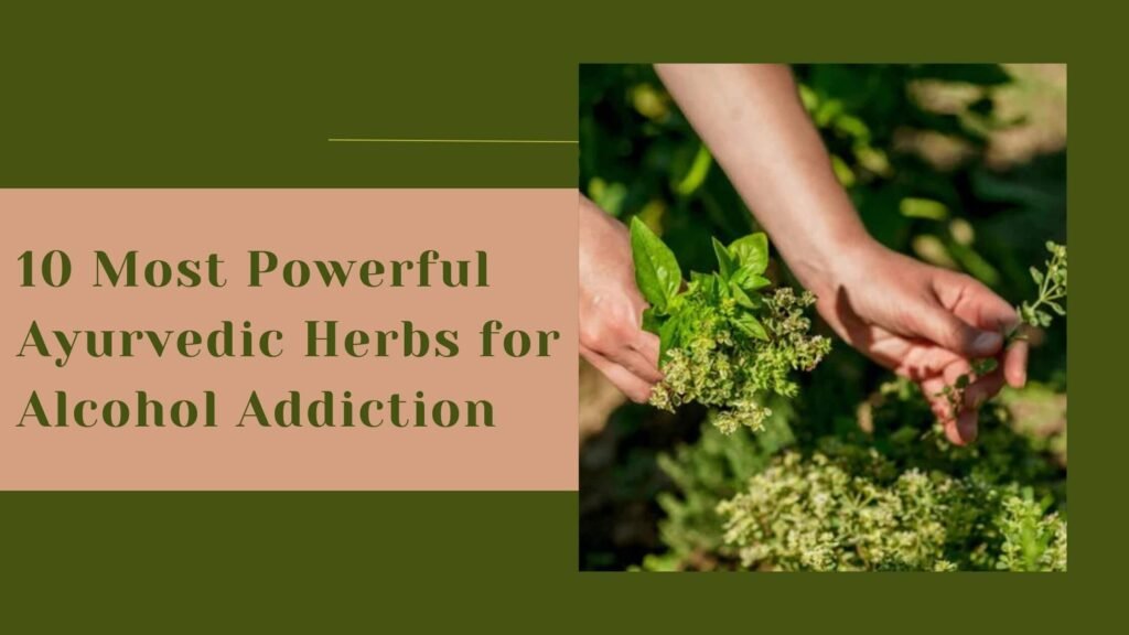 Most Powerful Ayurvedic Herbs for Alcohol Addiction