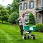 Lawn Care Services