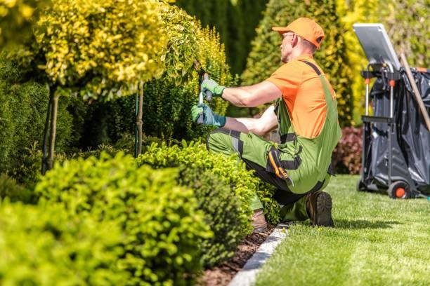 Lush landscaped garden with vibrant flowers and greenery in Dubai.